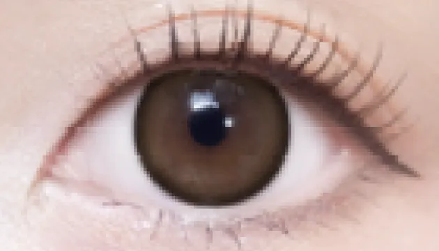 ブーケブラウン