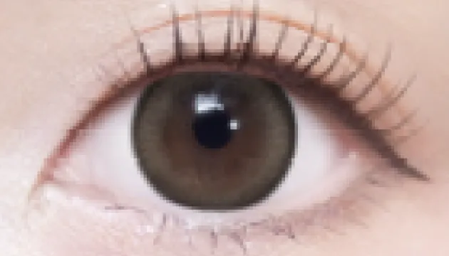 ミストグレージュ